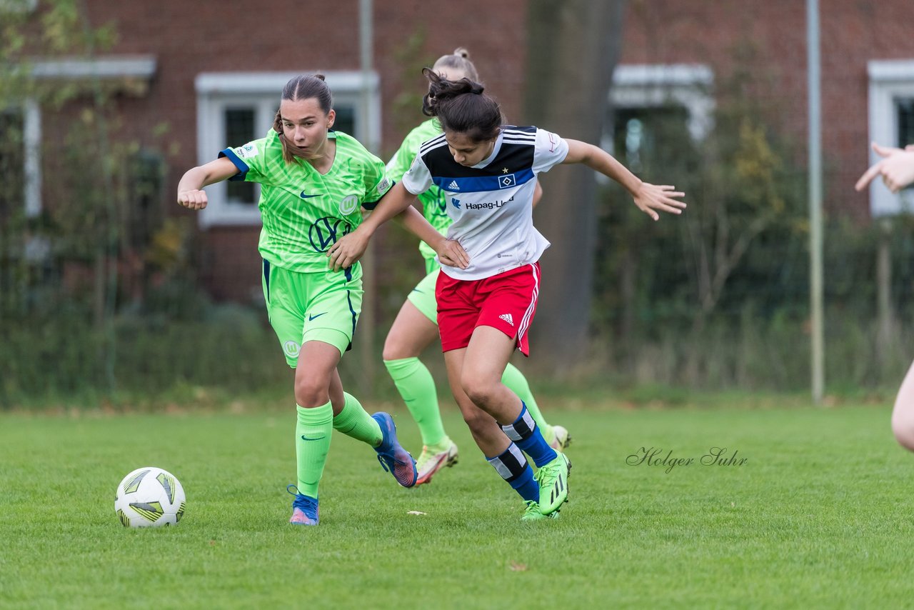 Bild 177 - wBK Hamburger SV - VfL Wolfsburg : Ergebnis: 0:5